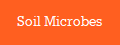 Soil Microbes